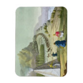 Magnet Flexible Reindeer d'élevage, Laponie, assiette 47 de 'Le Co (Vertical)