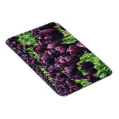Magnet Flexible Reine des Tulips (Côté Droit)