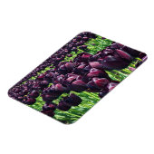 Magnet Flexible Reine des Tulips (Côté Gauche)