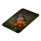 Magnet Flexible Reine sur l'algue tropicale (Côté Gauche)