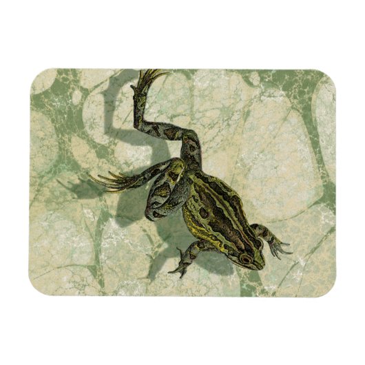 Magnet Flexible Remonter le crapaud dans l'eau (Horizontal)