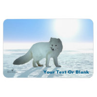 Renard arctique