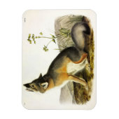 Magnet Flexible Renard rapide (Vulpes Velox) des Quadrupeds d'Audu (Vertical)