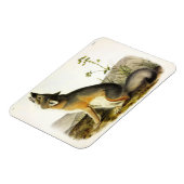 Magnet Flexible Renard rapide (Vulpes Velox) des Quadrupeds d'Audu (Côté Gauche)