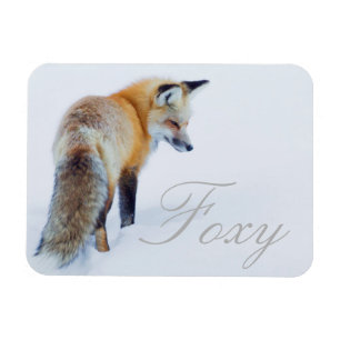 Magnet Flexible Renard roux en hiver
