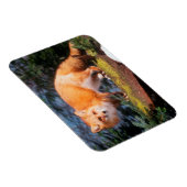 Magnet Flexible Renard roux sur une bûche (Côté Droit)