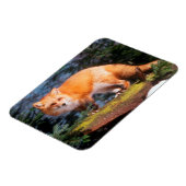 Magnet Flexible Renard roux sur une bûche (Côté Gauche)