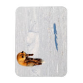 Magnet Flexible Renard Saut | Yukon, Canada (Vertical)
