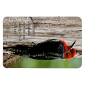 Magnet Flexible Rencontre avec un suceur à poitrine rouge (Horizontal)