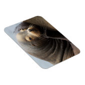 Magnet Flexible Repos de Lion de la mer de Californie (Côté Droit)