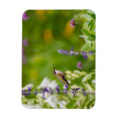 Magnet Flexible Repos des colibris (Vertical)