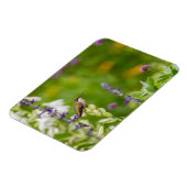 Magnet Flexible Repos des colibris (Côté Gauche)