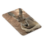 Magnet Flexible Repose de l'aimant Premium Kangaroo (Côté Droit)