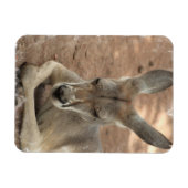 Magnet Flexible Repose de l'aimant Premium Kangaroo (Horizontal)