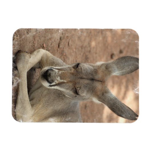 Magnet Flexible Repose de l'aimant Premium Kangaroo (Horizontal)