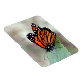 Magnet Flexible Repose de monarque (Côté Droit)