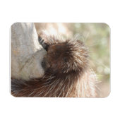 Magnet Flexible Repose de Porcupine (Horizontal)