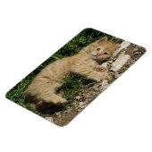 Magnet Flexible Repose Tabby Baby (Côté Gauche)