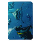 Magnet Flexible Requin (Vertical)