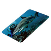 Magnet Flexible Requin (Côté Gauche)