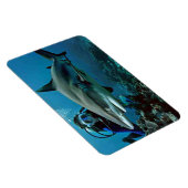 Magnet Flexible Requin (Côté Droit)