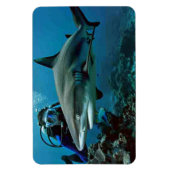 Magnet Flexible Requin (Vertical)