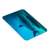 Magnet Flexible Requin de nuit (Carcharhinus Obscurus), Ushaka (Côté Droit)