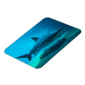 Magnet Flexible Requin de nuit (Carcharhinus Obscurus), Ushaka (Côté Gauche)