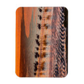 Magnet Flexible Réserve nationale de faune andine Eduardo Abaroa (Vertical)