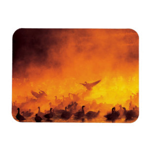 Magnet Flexible Réserve nationale de faune Bosque del Apache, NM