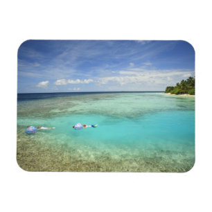 Magnet Flexible Résort de l'île Bandos, Atoll North Malé, Les