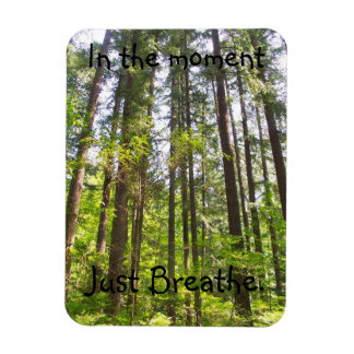 Magnet Flexible Respire juste l'aimant de l'arbre