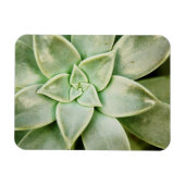 Magnet Flexible Ressort Succulent (Horizontal)