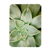 Magnet Flexible Ressort Succulent (Vertical)