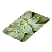 Magnet Flexible Ressort Succulent (Côté Gauche)