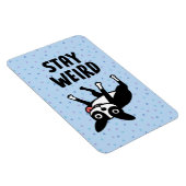 Magnet Flexible Restez bizarre Funky Boston Terrier Dog (Côté Droit)