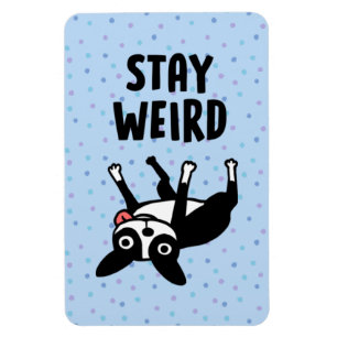 Magnet Flexible Restez bizarre Funky Boston Terrier Dog