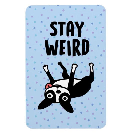 Magnet Flexible Restez bizarre Funky Boston Terrier Dog (Vertical)