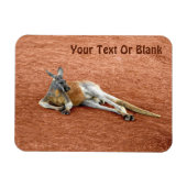 Magnet Flexible Resting Red Kangaroo Buck (Horizontal)