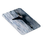 Magnet Flexible Résurrection Bay Orca Whale Photo Conçu (Côté Droit)