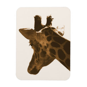Magnet Flexible Reticuler profil Giraffe