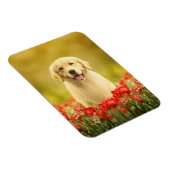 Magnet Flexible Retraite d'or en fleurs rouges (Côté Droit)