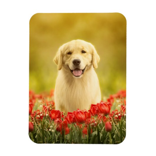 Magnet Flexible Retraite d'or en fleurs rouges (Vertical)