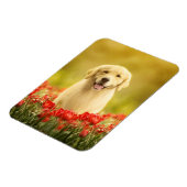 Magnet Flexible Retraite d'or en fleurs rouges (Côté Gauche)
