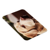 Magnet Flexible Retriever du Labrador (Côté Droit)