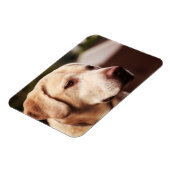 Magnet Flexible Retriever du Labrador (Côté Gauche)