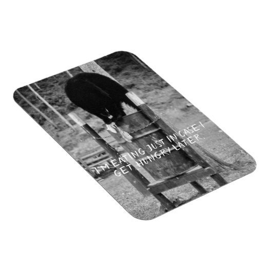 Magnet Flexible Retro Ours Noir sauvage Ordures fouilles ordures (Côté Droit)