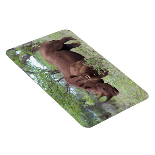 Magnet Flexible Rhino noir avec Calf (Côté Droit)