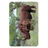 Magnet Flexible Rhino noir avec Calf (Vertical)