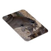Magnet Flexible Rhinocéros (Côté Droit)